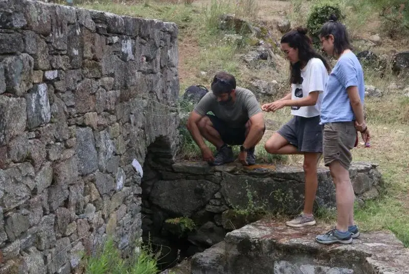 El cap de Creus recupera totes les vuit espècies d’amfibis documentades al parc gràcies a les pluges d’aquesta primavera