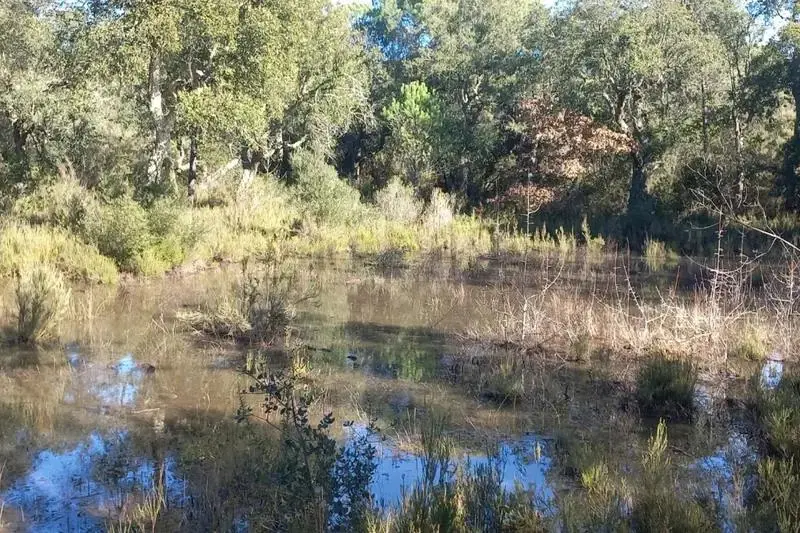 El Consorci de les Gavarres compra una finca de 70 hectàrees amb una gran concentració d’espècies d’interès