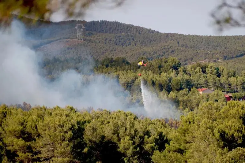 La calor extrema augmenta les emissions de CO2 en accelerar la «respiració» dels ecosistemes