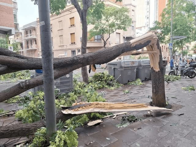 Científics reclamen al Govern mesures urgents per preparar Catalunya pels fenòmens climàtics extrems en una carta oberta