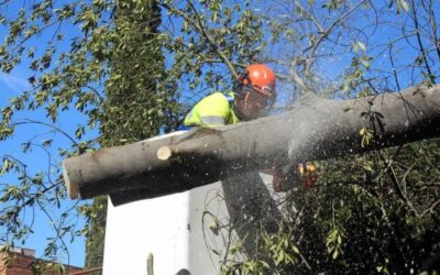 Girona suspèn les activitats a l’exterior i tanca parcs i jardins a partir de la mitjanit per la previsió de fort vent