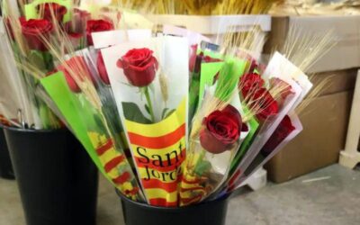 Mercabarna-flor preveu igualar els set milions de roses venudes l’any passat en Sant Jordi
