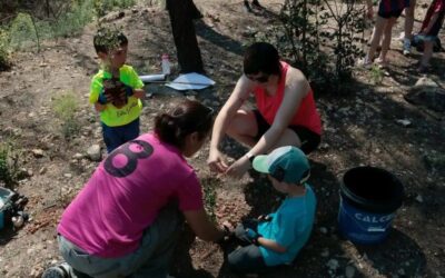 Impulsen una plantada solidària d’arbres a Xerta per recuperar la zona cremada per l’incendi de l’estiu