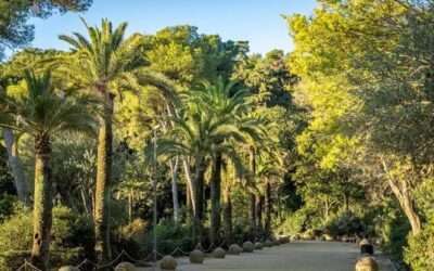 El Park Güell renovarà l’enllumenat per millorar-ne la visibilitat i la seguretat amb obres que s’iniciaran a la tardor