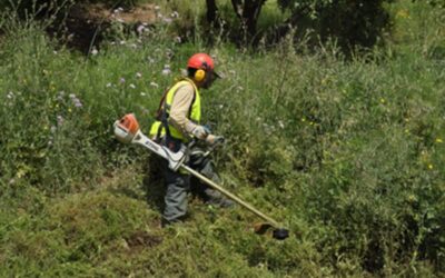 En marxa les tasques de manteniment de les franges forestals de prevenció d’incendis