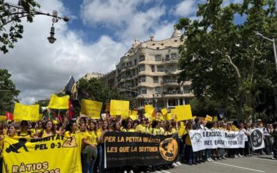 Educadores i treballadores d’escoles bressol es manifesten a Barcelona per exigir més recursos i abaixar les ràtios