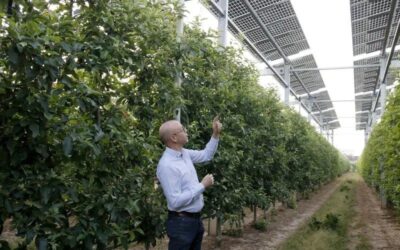 Plaques solars damunt de fruiters o a l’aigua, exemples d’energies renovables a Ponent que no comprometen el sòl agrari