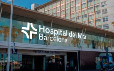 Descobreixen un dels possibles mecanismes que regulen la tolerància als al·lèrgens