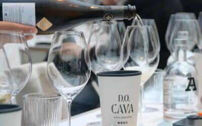 El consell del DO Cava defineix el nou ple amb dotze vocals i obre el procés per elegir president