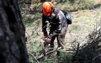 Defineixen 14 eixos de confinament d’incendis forestals per evitar que el foc salti d’un massís a un altre