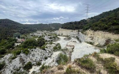 Un projecte europeu crea una «illa de biodiversitat» a una antiga pedrera del Bages