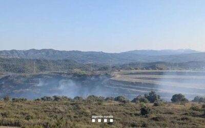 L’incendi de Vinebre afecta dotze hectàrees de matollar mediterrani, segons les primeres estimacions dels Agents Rurals