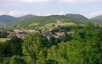 Impulsen la redacció d’un pla de gestió forestal conjunt per «ordenar» els boscos