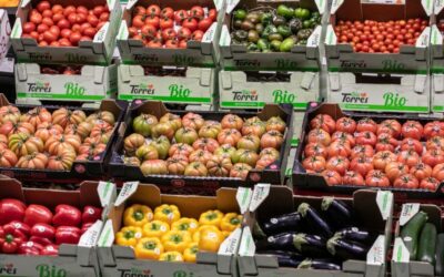 Mercabarna va tenir un benefici de 10,6 milions d’euros el 2025, un 9,3 % menys