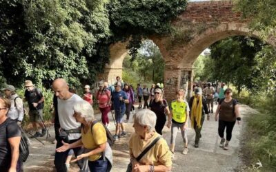 Unes 200 persones desafien el tancament de Collserola amb una caminada popular: «Fa 6 mesos que no podem fer salut»