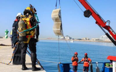 El port de Barcelona instal·la estructures submarines per afavorir la biodiversitat marina
