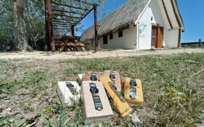 Riet Vell, al delta de l’Ebre, 25 anys d’agricultura i conservació de la biodiversitat