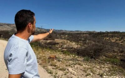 Ni boscos nets ni ajudes directes: la frustració dels alcaldes quan fa un any de l’incendi del Baix Ebre