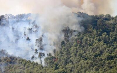 Confinen diverses urbanitzacions i nuclis disseminats pel foc forestal entre Sentmenat i Castellar del Vallès