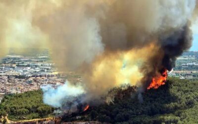 Confinat Sant Climent de Llobregat, una zona de Viladecans i dues urbanitzacions de Gavà per un foc forestal