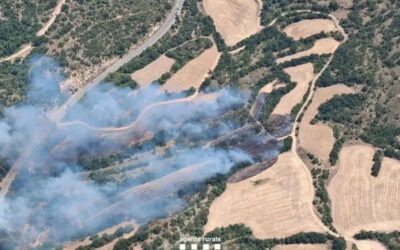 L’incendi a Camarasa afecta 19 hectàrees i entra a l’espai natural protegit de l’Aiguabarreig Segre-Noguera Pallaresa