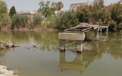 Un any del desbordament del Foix: més episodis de desguàs incrementen la fauna mentre la desembocadura segueix escapçada