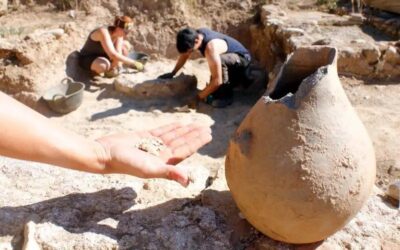 Els arqueòlegs troben una gerra amb un ou que va servir d’ofrena fa 1.800 anys a la vil·la romana de Sarrià de Ter