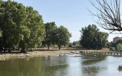 Moren dos germans bessons d’11 anys ofegats al riu Ter a Manlleu
