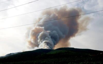 Una eina del CREAF permet conèixer la humitat de la vegetació en temps real i millorar la prevenció d’incendis
