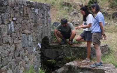 El cap de Creus recupera totes les vuit espècies d’amfibis documentades al parc gràcies a les pluges d’aquesta primavera