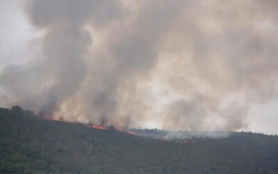 40 confinaments per incendis forestals des del juny amb més de 140.000 afectats: «Dins de casa és on estàs més segur»