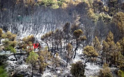 Els bombers estimen que encara resten tres setmanes amb un risc extrem de gran incendi
