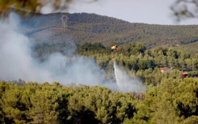 La calor extrema augmenta les emissions de CO2 en accelerar la «respiració» dels ecosistemes