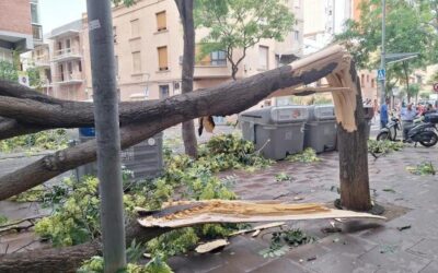 Protecció Civil activa l’alerta del pla Inuncat per la previsió de tempestes fortes i pluges intenses