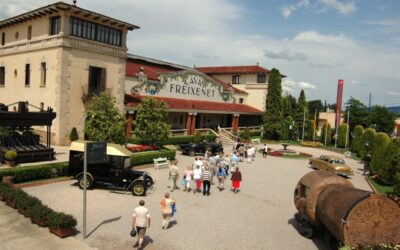 Aires de Garbet 2021 i Cuvée D.S.2019, distingits entre els millors vins 2026 pel Ministeri d’Agricultura