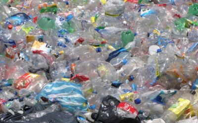 Comença a aplicar-se el reglament de la UE que prohibirà els envasos monodosi de plàstic d’un sol ús el 2030