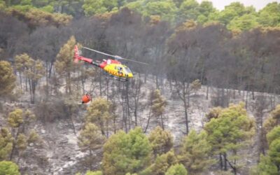 Torre Baró reclama més manteniment després de l’incendi: «Això està deixat de la mà de Déu»