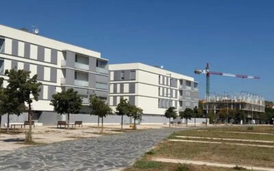 Els API diuen que moltes immobiliàries no publiquen els pisos de lloguer a plataformes per evitar el col·lapse