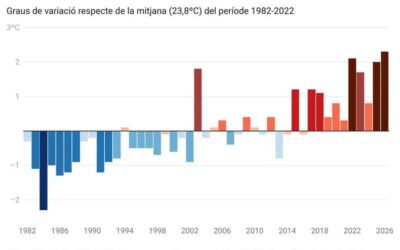 La temperatura de l’aigua del mar a l’estiu bat rècords i s’enfila 2,3 ºC per sobre de la mitjana