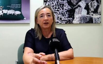 La sequera a Europa ajuda a salvar la campanya als productors d’alfals de Catalunya
