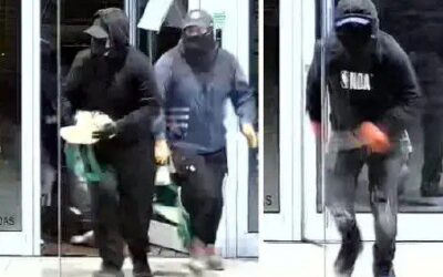 Cau un grup criminal relacionat amb més de 70 assalts en empreses