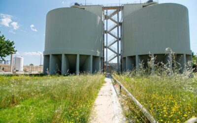 Aigües de Barcelona referma el seu compromís per assolir la neutralitat climàtica desplegant el seu pla de descarbonització i biodiversitat