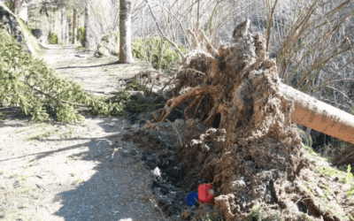 L’Aemet emet un avís vermell per vent huracanat al Pirineu de Girona i Prepirineu de Barcelona