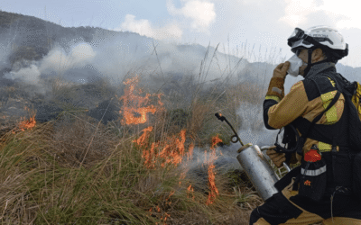 El foc contra el foc: cremes prescrites i «pasturatge» d’incendis