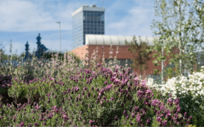 Aigües de Barcelona impulsa la renaturalització de les seves instal·lacions per potenciar la biodiversitat metropolitana
