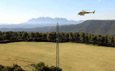 Endesa inverteix 38 milions d’euros en la protecció de les línies elèctriques en entorns forestals