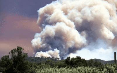 Els Bombers alerten que és «importantíssim» tancar el flanc dret del foc de l’incendi de la Bisbal per evitar l’afectació «potencial» de 10.000 ha