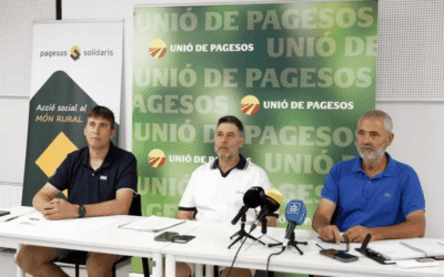 Unió de Pagesos estima que el sector porcí ha perdut 100 milions per l’efecte de la pesta porcina durant el primer semestre