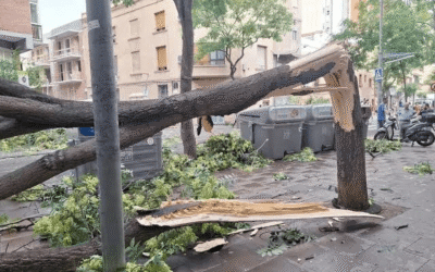 Científics reclamen al Govern mesures urgents per preparar Catalunya pels fenòmens climàtics extrems en una carta oberta