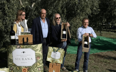 La DOP Siurana preveu una caiguda de fins al 40% en la producció d’oli, amb la venda del litre per sota dels 10 euros